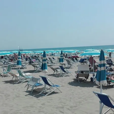 Hotel Rosy 2*
