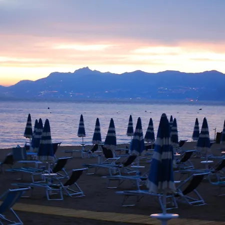 Rosy Hotel